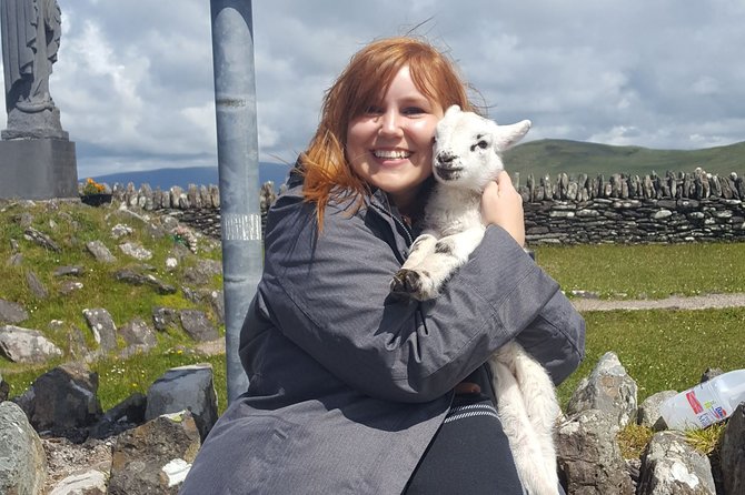 10 Day Wild Irish Experience Small Group Tour From Dublin - Cliffs of Moher and the sheepdog farm