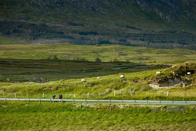 2-Day Western Ireland Tour from Dublin:Including Galway and Cliffs of Moher - Bunratty, with a photo stop rather than a castle visit