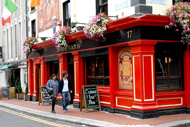 2 Hour Walking Tour of Dublin's City Centre - Christ Church Cathedral and Viking Dublin