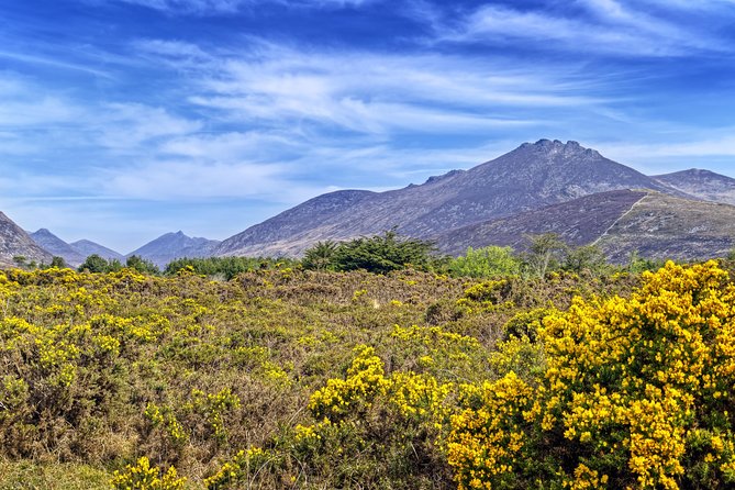 3-Day Discover Northern Ireland Small-Group Tour from Dublin - The guides and the value of a small group