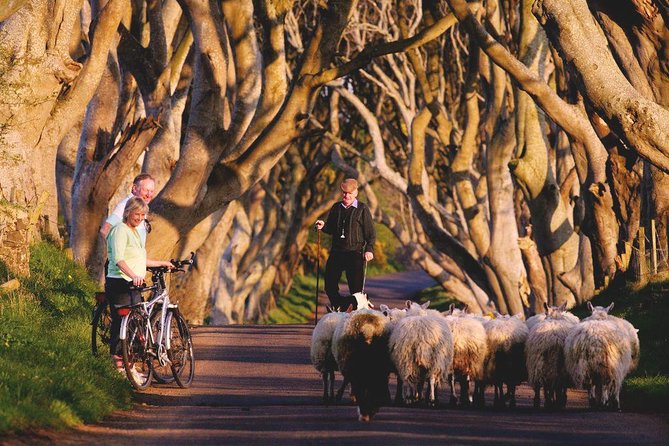 3-Day Northern Ireland Tour from Dublin: Giant’s Causeway & Titanic Experience - Practical details worth knowing