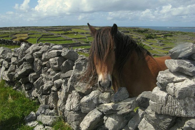 3-Day Southern Ireland Tour Including Galway and Kerry from Dublin - Meals, accommodation, and what to pack
