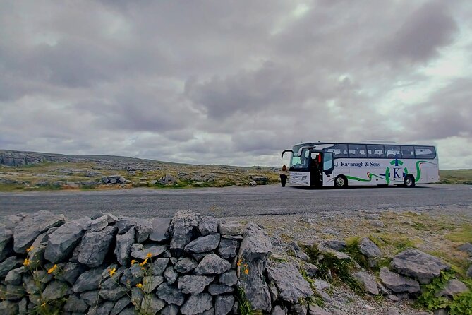 4-Day Guided Tour to Discover Ireland and Dublin - Day four: the Giant’s Causeway and Belfast