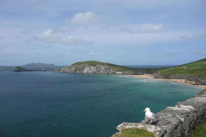 5-Day Northern Ireland and Atlantic Coast Small-Group Tour from Dublin - Day four: Connemara and the Twelve Bens