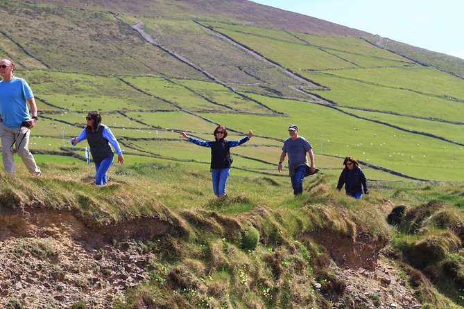 6-Day Magical Southern Explorer Small Group Tour - Day 6: A working farm in the Burren and Galway