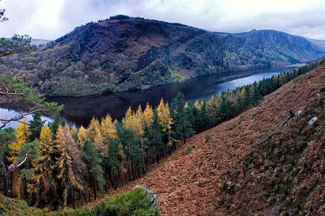 6-Day South of Ireland Tour from Dublin - Guides can make or break the long drives