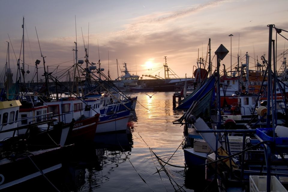 6-Day Tour of Southern Ireland from Dublin - The Ring of Kerry is about the road itself