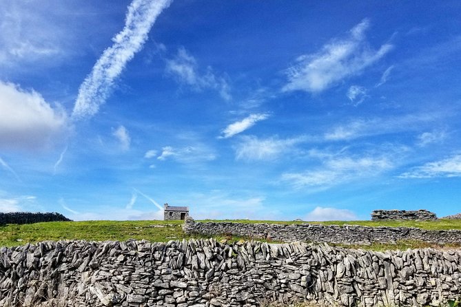Aran Islands Scenic Flight and Galway Rail Tour from Dublin - Seeing Inis Mór by local minibus