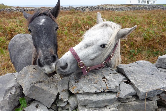 Aran Islands Scenic Flight and Galway Rail Tour from Dublin - Walking up to Dún Aonghasa