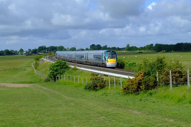 Aran Islands Scenic Flight and Galway Rail Tour from Dublin - Lunch, Aran sweaters, and Kilronan