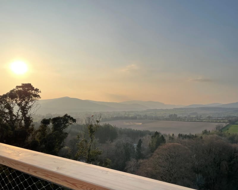 Avondale: Beyond the Trees Treetop Walk & Tower Entry Ticket - Should you book this Wicklow treetop walk?