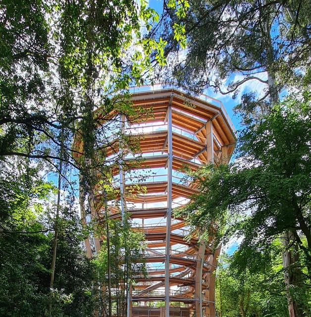 Avondale: Beyond the Trees Treetop Walk & Tower Entry Ticket - The 90-meter slide costs extra
