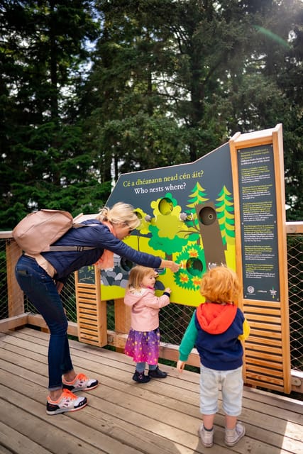 Avondale: Beyond the Trees Treetop Walk & Tower Entry Ticket - Accessibility, timing, and practical comfort