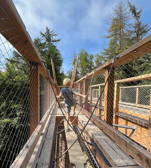 Avondale: Beyond the Trees Treetop Walk & Tower Entry Ticket - Who will enjoy Beyond the Trees Avondale?
