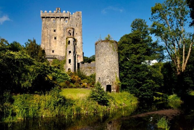 Blarney Castle and The Rock of Cashel with Private Chauffeur Tour - Blarney Castle, the stone, and the gardens