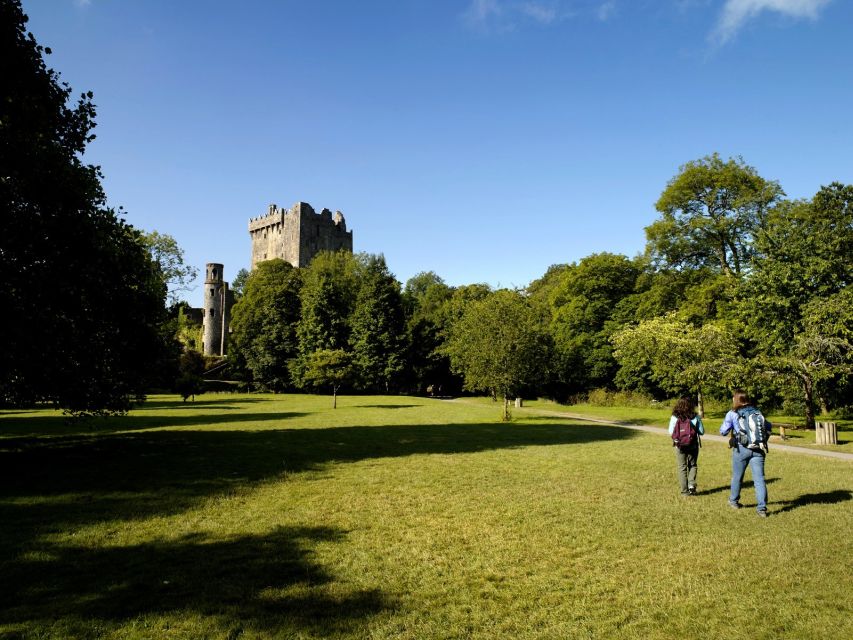 Blarney Castle Full-Day Tour from Dublin - The Rock of Cashel: a compact first visit