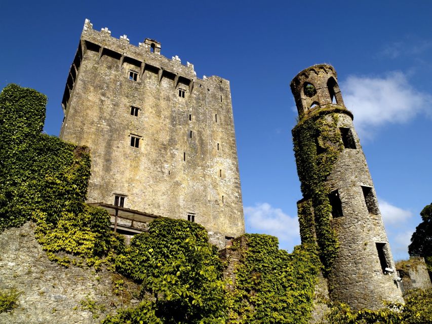 Blarney Castle Full-Day Tour from Dublin - Blarney’s gardens are more than a waiting area