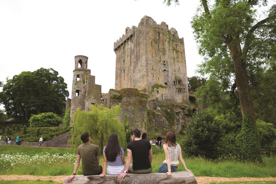 Blarney Castle Full-Day Tour from Dublin - The Golden Vale drive sets the tone
