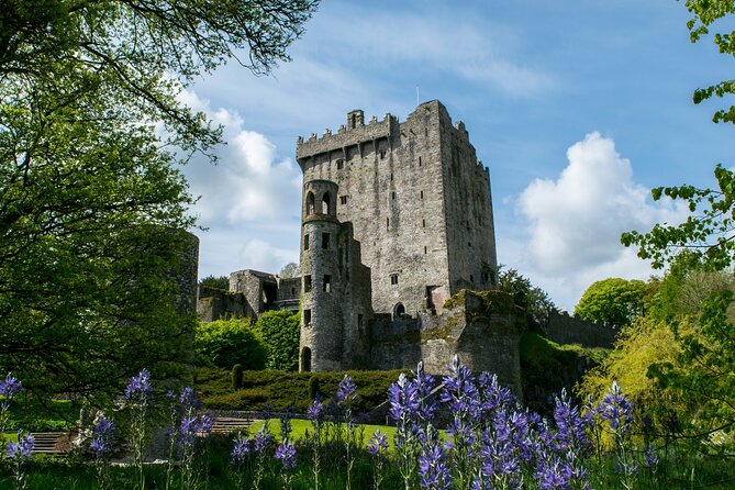 Chauffeur Blarney and Cork Private Day Tour from Dublin - A long southern Ireland day from Dublin