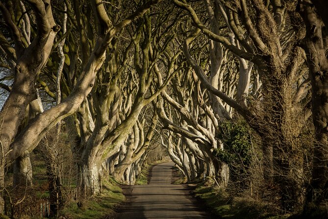 Chauffeur Giants Causeway & Belfast Private Day Tour From Dublin - One hour to get a taste of Belfast