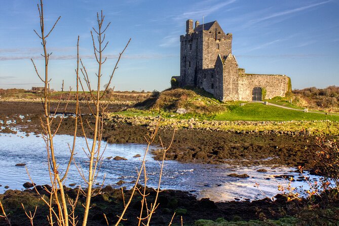 Chauffeur Private Cliffs of Moher Day tour from Dublin - What the private service adds