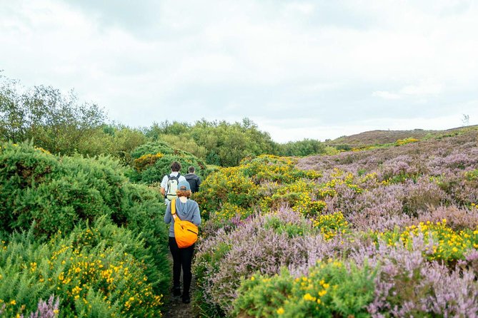 City Explorer: Howth Private Day Trip - Leaving Dublin for Howth by public transport