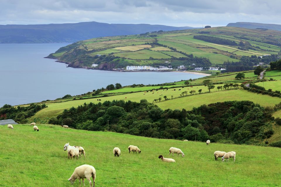 Cliffs of Moher and Blarney 2-Day Tour from Dublin - Who should book this tour?