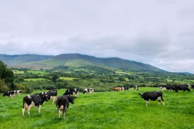 Cliffs of Moher and Blarney 2-Day Tour from Dublin