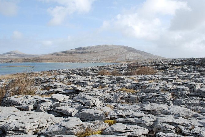 Cliffs of Moher and Galway City Day Tour from Dublin - Guides, group size, and the human side of the tour
