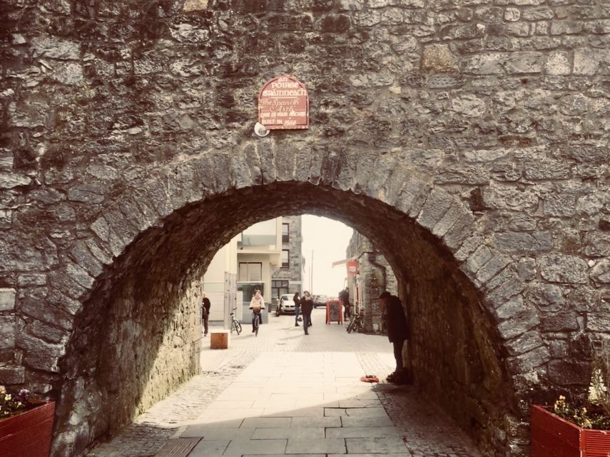 Cliffs of Moher and Galway Tour in Italian or Spanish - Who should book this tour?