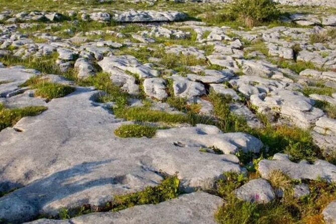 Cliffs of Moher, Burren and Galway 2 Days Private Chauffeur Tour - Why this private west coast trip works