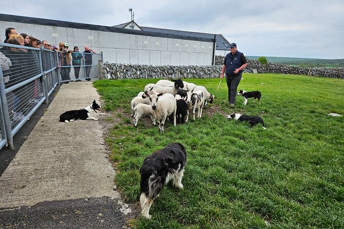 Cliffs of Moher from Dublin Full Day - Private Driver - Why this private Dublin to Clare trip works