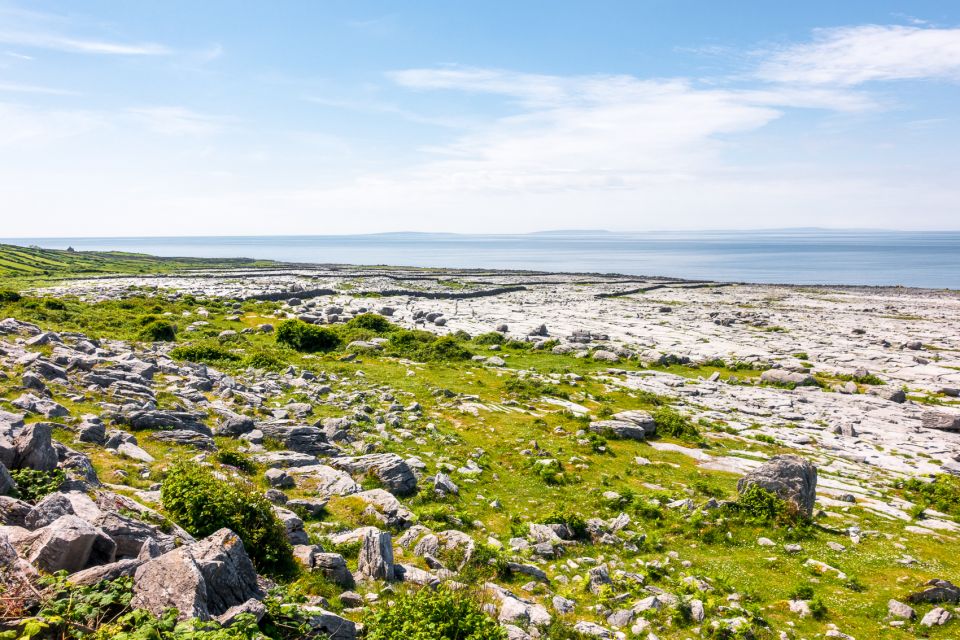 Cliffs of Moher Full-Day Tour from Dublin - Doolin: lunch with a western Irish setting