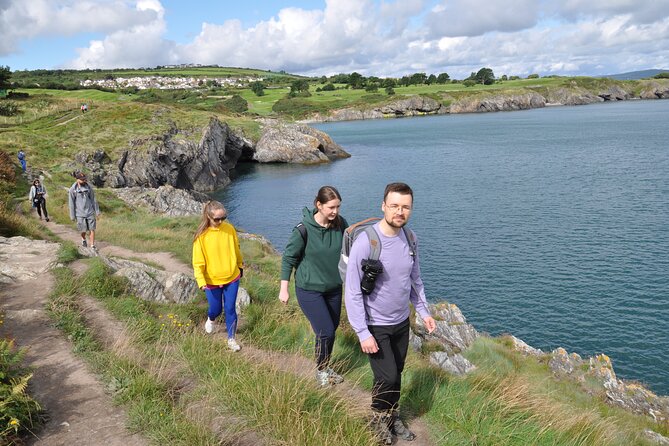 Day Tour from Dublin to Wicklow: Cliffs, Heritage, Wildlife, Gaol - A private vehicle changes the pace