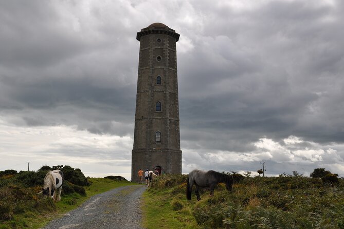 Day Tour from Dublin to Wicklow: Cliffs, Heritage, Wildlife, Gaol - What to bring for the coast and town