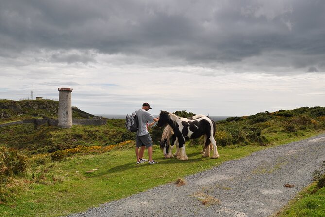 Day Tour from Dublin to Wicklow: Cliffs, Heritage, Wildlife, Gaol - Who will get the most from this Wicklow outing