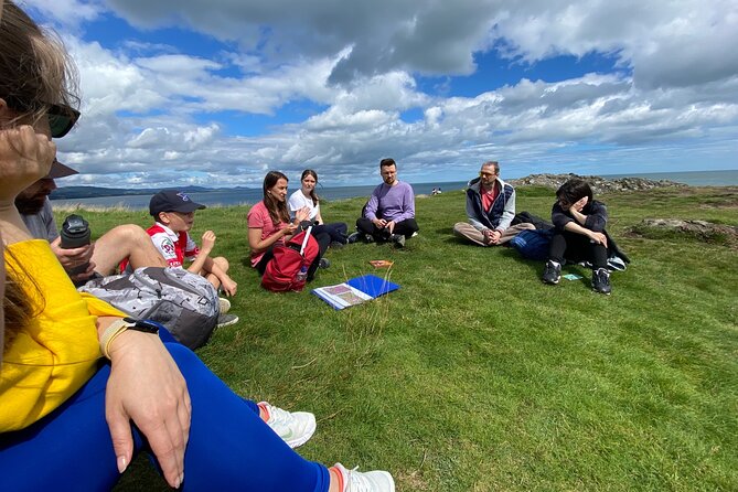 Day Tour from Dublin to Wicklow: Cliffs, Heritage, Wildlife, Gaol - Booking, timing, and cancellation details