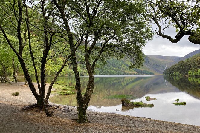 Day Tour from Dublin: Wicklow Mountains, Glendalough, Powerscourt - Powerscourt House and Gardens: allow two hours