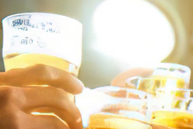 Drinks on Foot: Dublin Traditional Pub Tour - The guide is the main reason to book