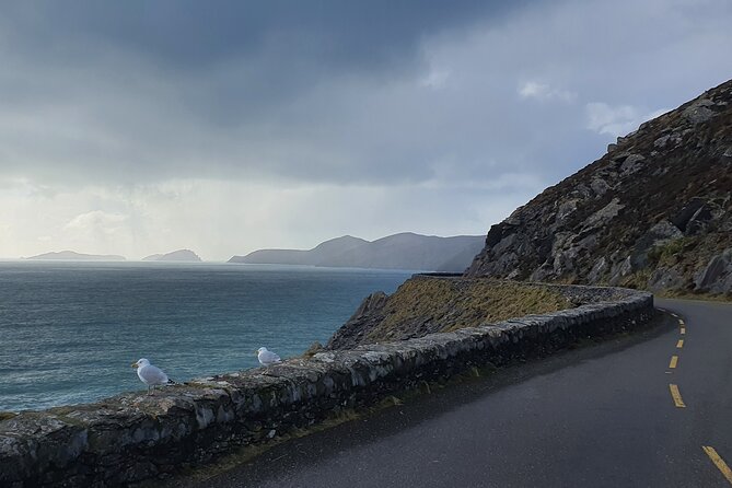 Dublin Airport to Galway ,Private Chauffeur Service - Booking details that deserve a careful check
