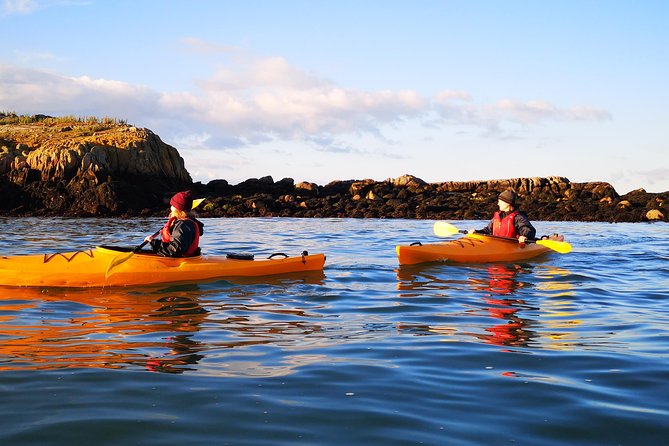 Dublin Bay Seal Kayaking Safari at Dalkey - Landing on Dalkey Island when conditions allow