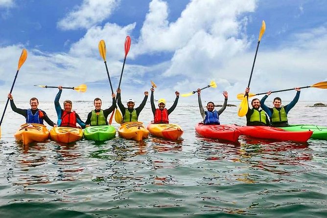 Dublin Bay Seal Kayaking Safari at Dalkey - What the sea conditions mean for you