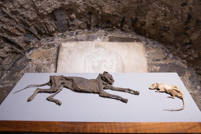 Dublin Christ Church Cathedral Admission Ticket - The audio guide: worth using if available