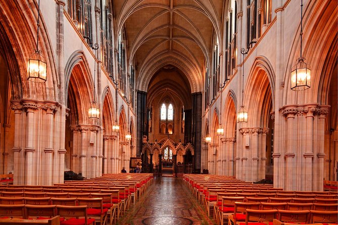 Dublin Christ Church Cathedral Admission Ticket - The medieval crypt and its unusual residents