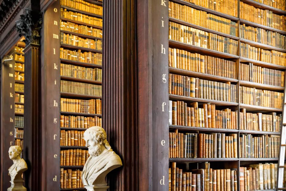 Dublin City Walking Tour, Vikings, St. Partick, Highlights - Meeting point, walking demands, and practical details