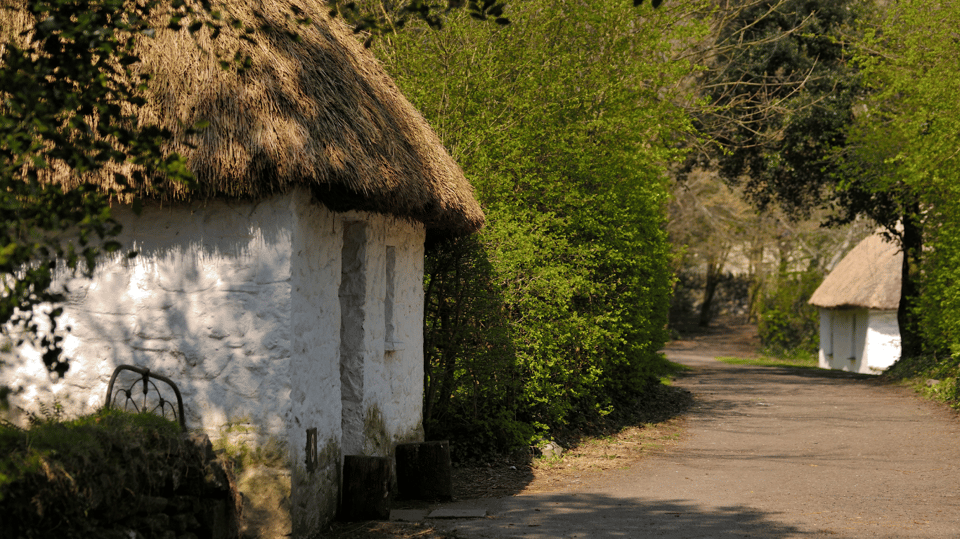 Dublin: Cliffs of Moher, Ennis, & Bunratty Castle Day Tour - Transport, timing, and the real value of $91
