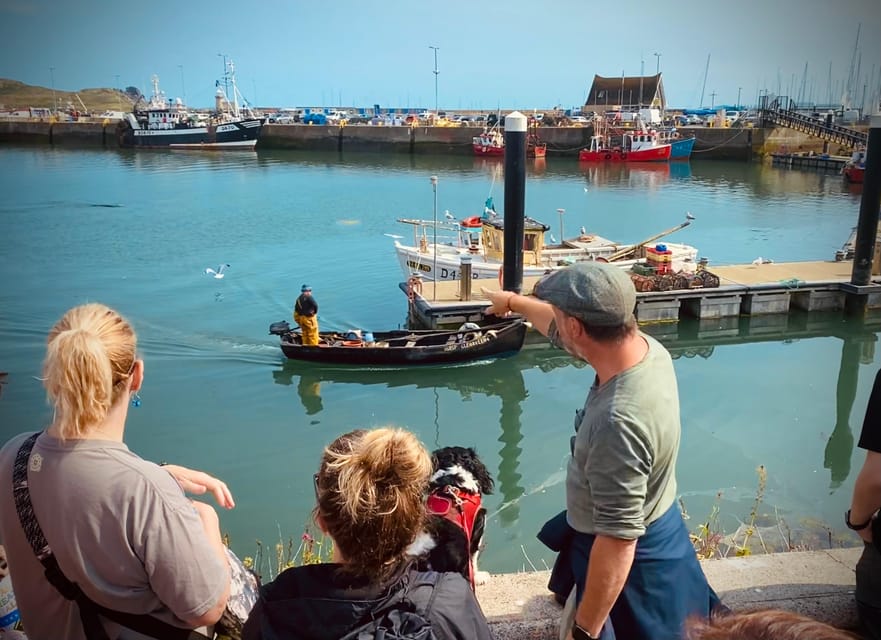 Dublin: Dublin Coastal Hike and Pints & Puppies - Final verdict