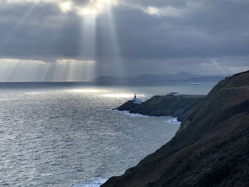 Dublin: Dublin Coastal Hike and Pints & Puppies - Meeting a local guide and the tour dog