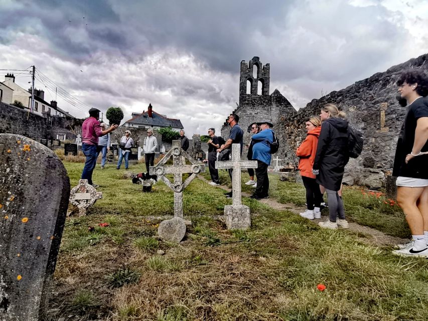 Dublin: Dublin Coastal Hike and Pints & Puppies - Finding the less obvious side of Howth