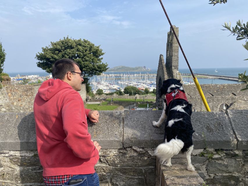 Dublin: Dublin Coastal Hike and Pints & Puppies - Is $53 a fair price?